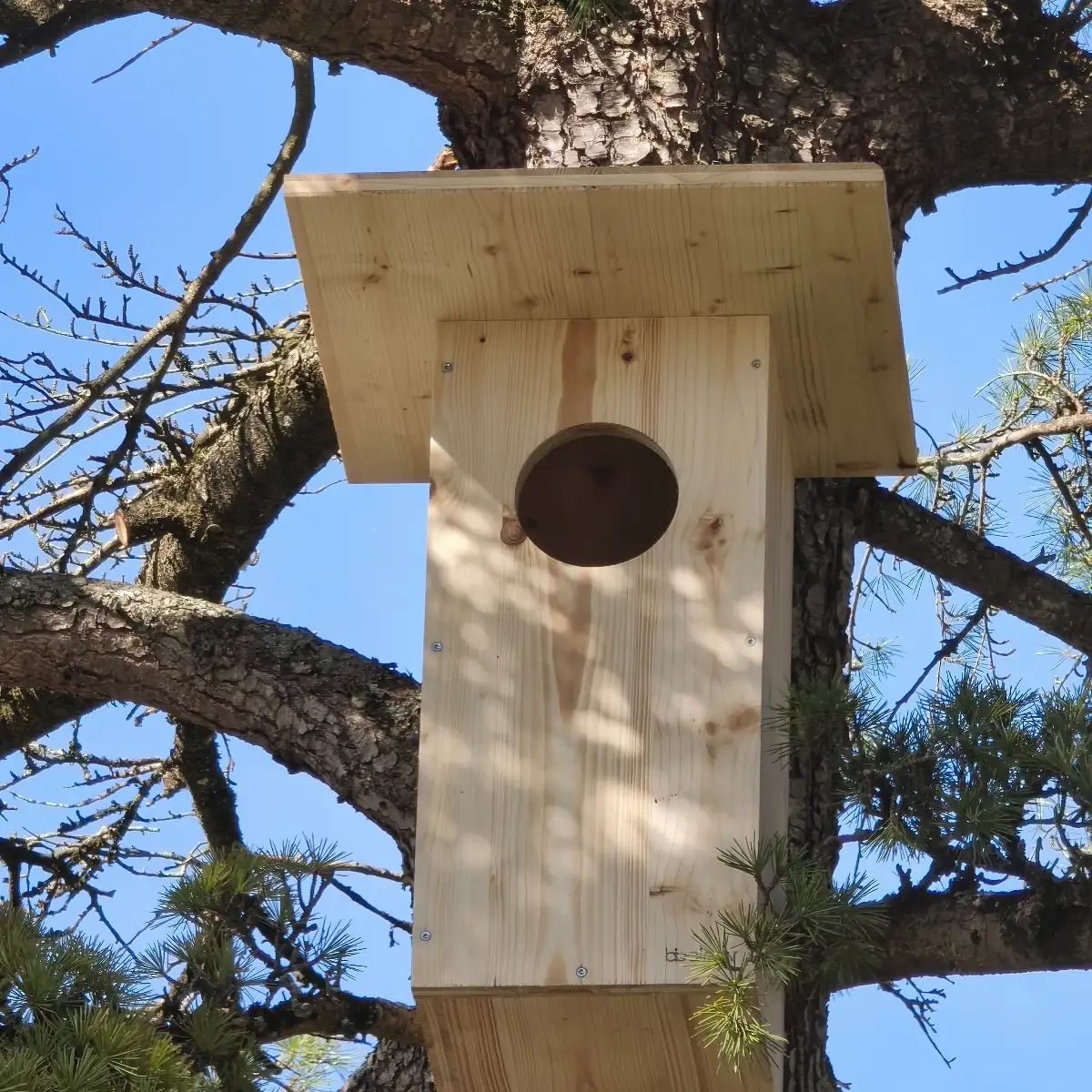 Nichoir à chouette hulotte