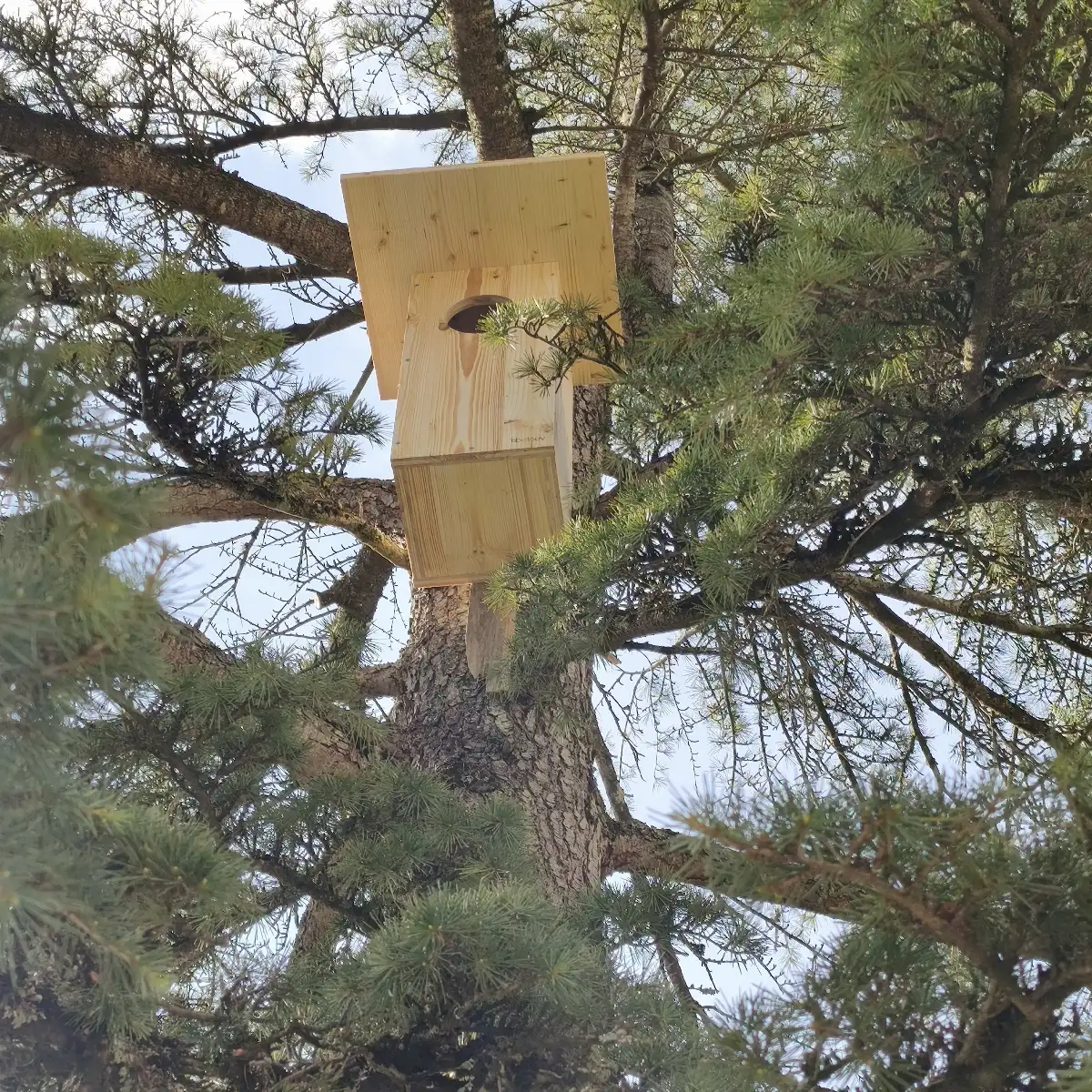 Nichoir à chouette hulotte