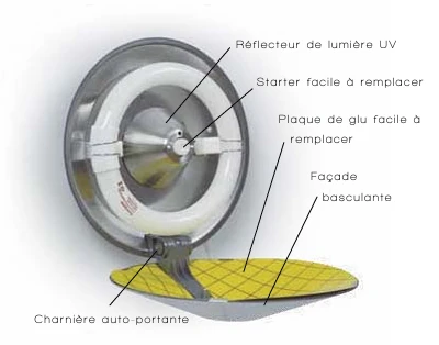 Désinsectiseur électrique